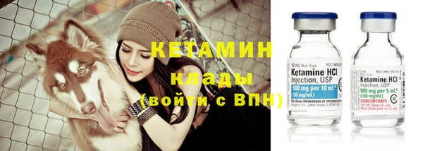 2c-b Бородино