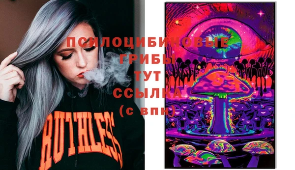 2c-b Бородино
