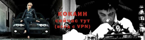 2c-b Бородино