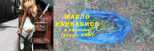 2c-b Бородино