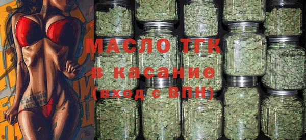 2c-b Бородино