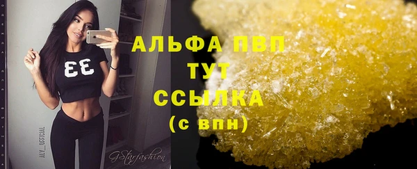 2c-b Бородино